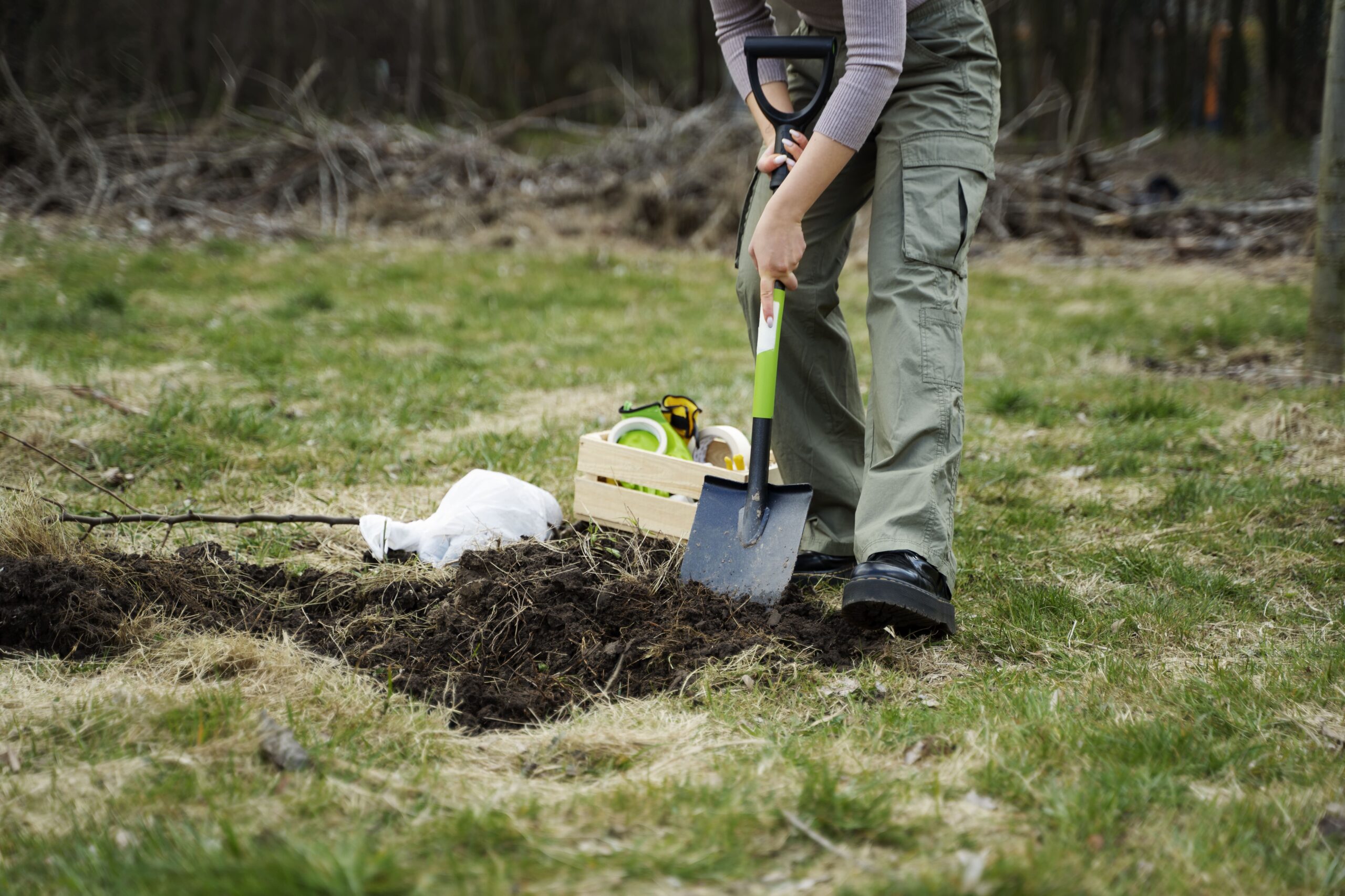 planting-trees-as-part-reforestation-process (1)